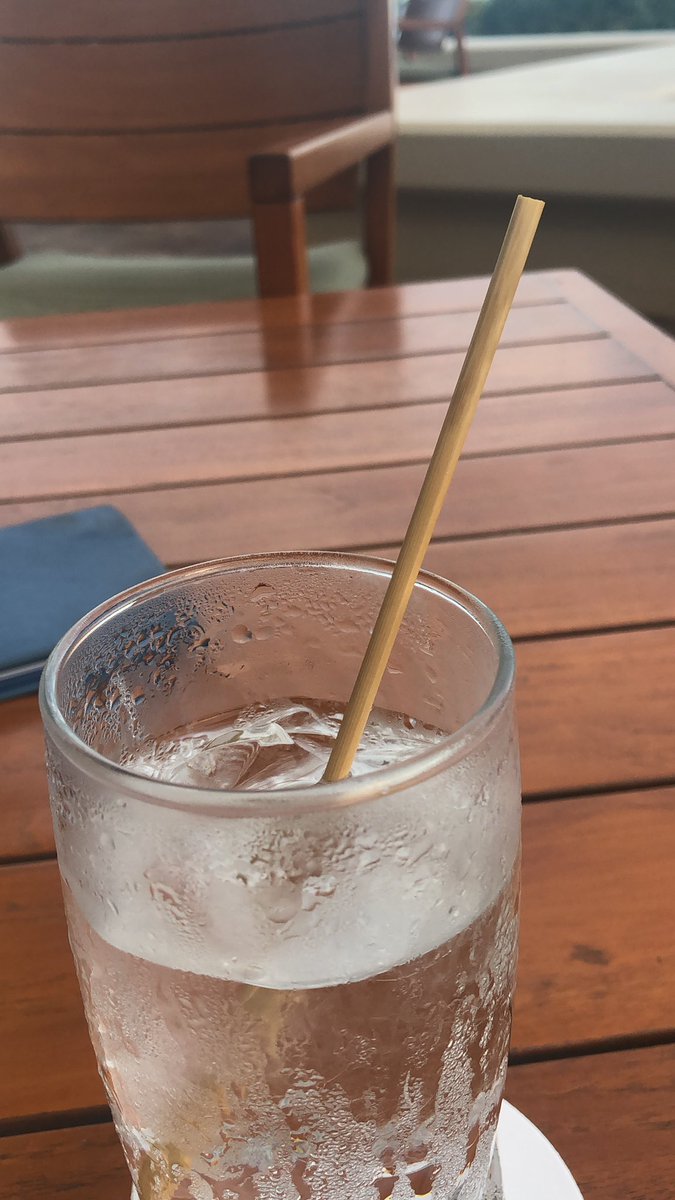 If we want to get serious about the environment, forget paper straws, we should switch to bamboo!! Plus, the bamboo doesn’t wilt like the paper straws....#HawaiiStyle
