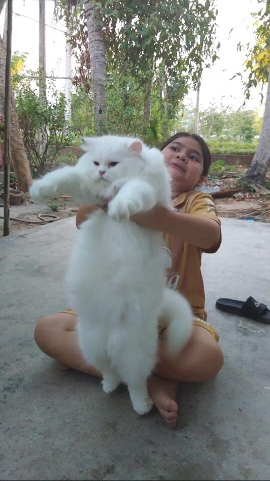 ไอเลิฟหนมแงวเลีย tweet media