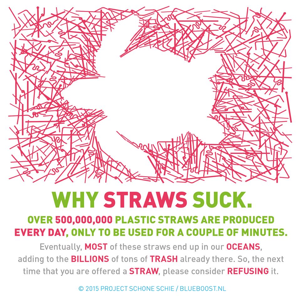 kp1200's tweet photo. Did you said no to plastic straws? @strawsuck #StrawsSuck #BeatThePlasticTrash https://t.co/BPWdWI1Wiw