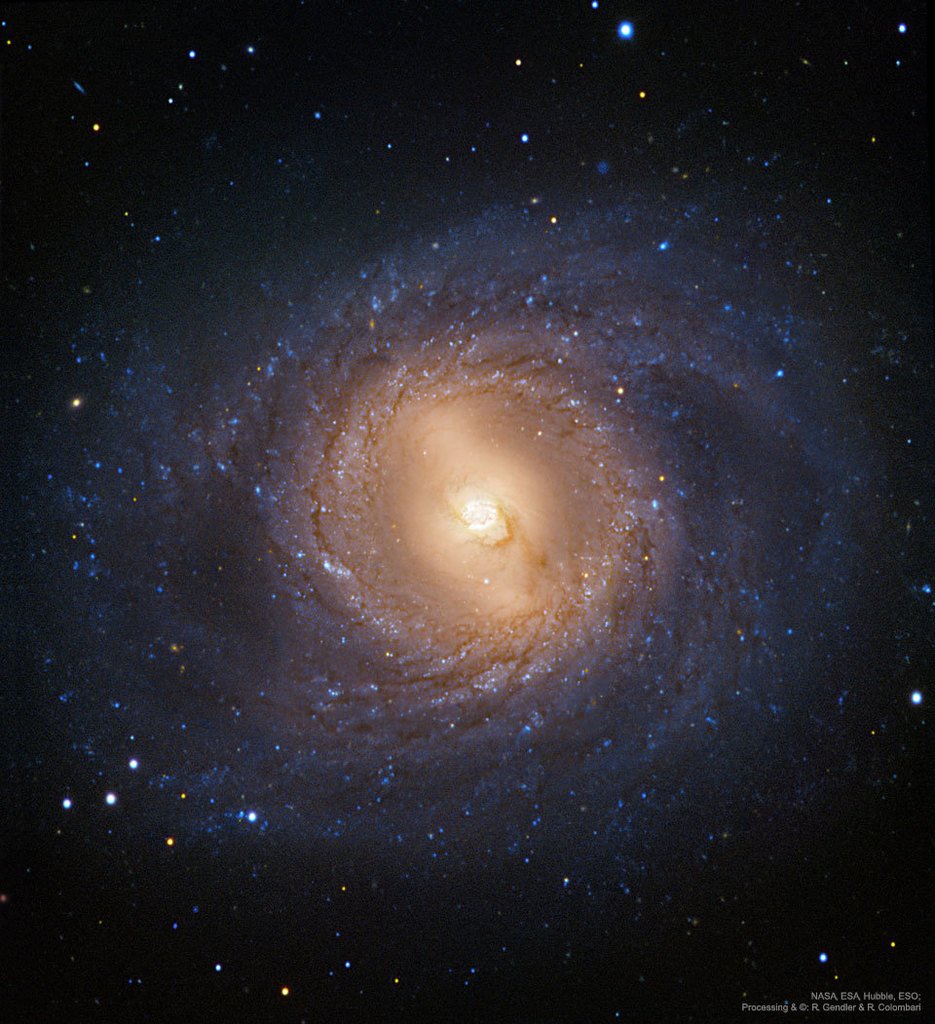 WFSPatrick's tweet photo. M95: Spiral Galaxy with an Inner Ring #space #nasa https://t.co/xysF6qCBnv