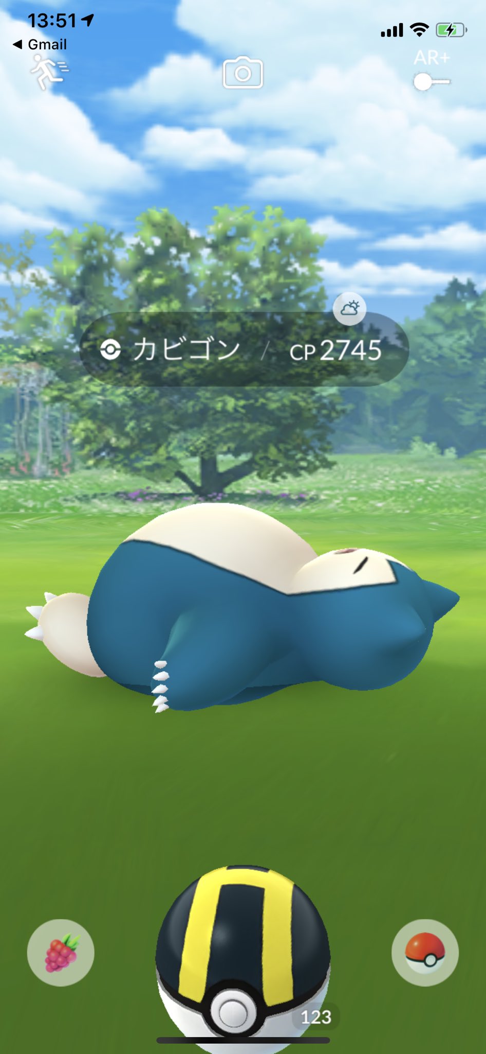 かわいい カピゴン ぬいぐるみ Multipasajes Travel