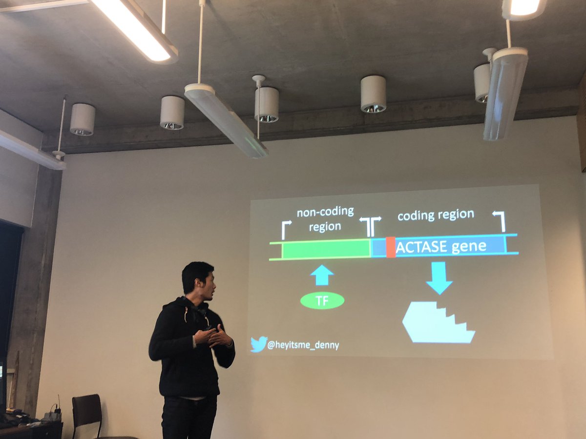 DorisChuang's tweet photo. All the non-coding region is where 80% of transcription starts; not the coding region. #UniMelbscicomm https://t.co/s69aaRgFKl