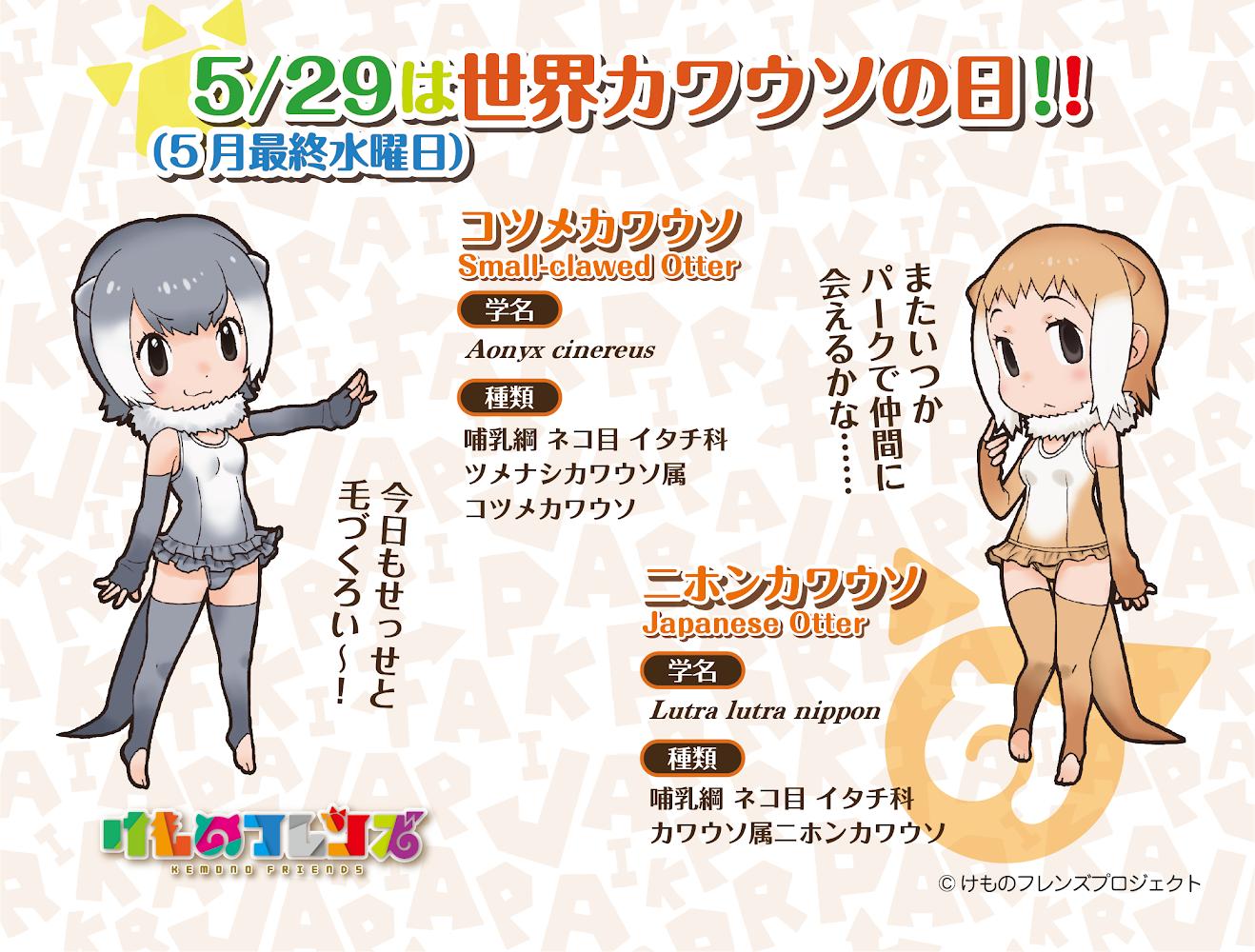 けものフレンズ 公式アカウント En Twitter 今日は 世界カワウソの日 イギリスのnpo団体が絶滅の危機にあるカワウソの現状を知ってもらおうと 5月最終水曜日を 世界カワウソの日 に制定しました カワウソの毛皮は二層構造で下毛の方が少し長いので皮膚との間 けものフレンズ 公式アカウント En Twitter 今日は 世界カワウソの日 イギリスのnpo団体が絶滅の危機にあるカワウソの現状を知ってもらおうと 5月最終水曜日を 世界カワウソの日 に制定しました カワウソの毛皮は二層構造で下毛の方が少し長いので皮膚との間