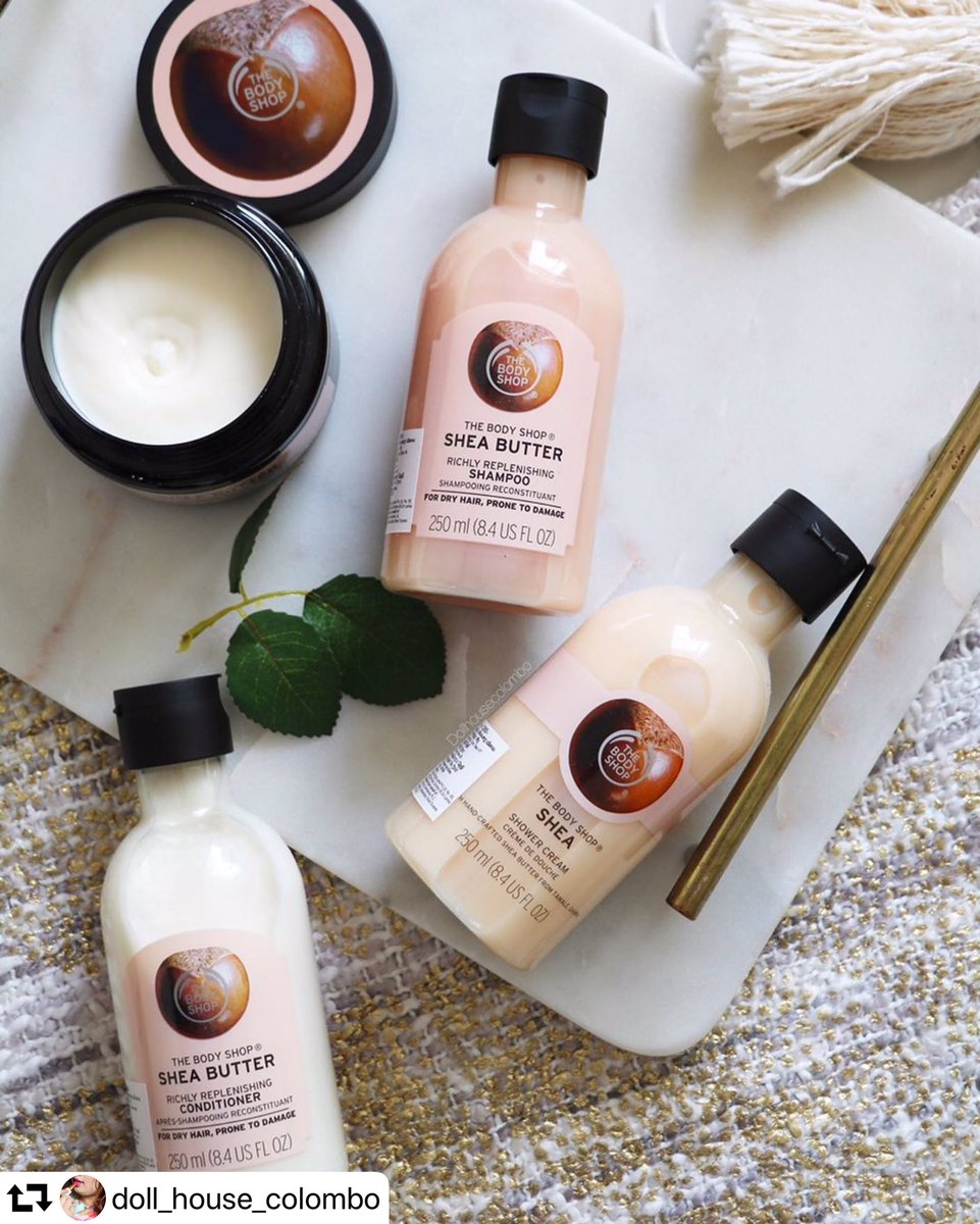 the body shop shea butter lotion