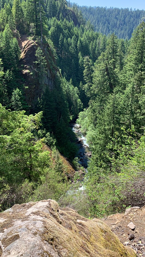 ralphross68's tweet photo. Toketee Falls. Umpqua National Forest. https://t.co/WLuLS3HmYm