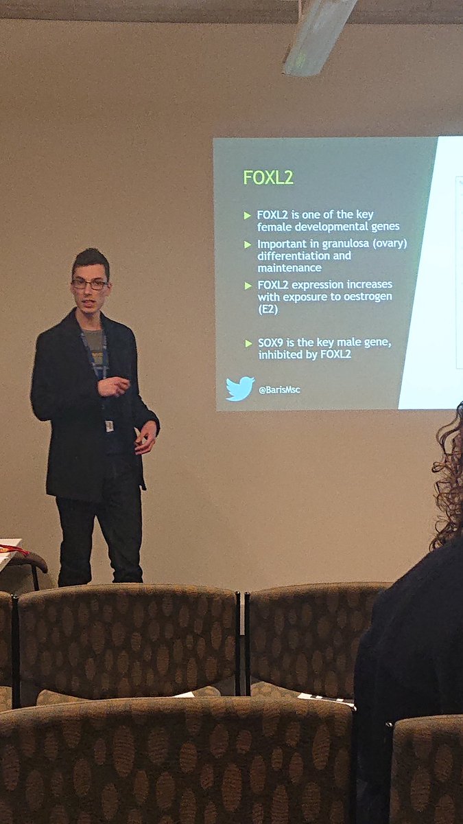 rhys_howlett's tweet photo. This foxy young man is here to tell us all about the genetics of how our genitals form @BarisMsc
#unimelbscicomm https://t.co/kkRq9a9Ei6