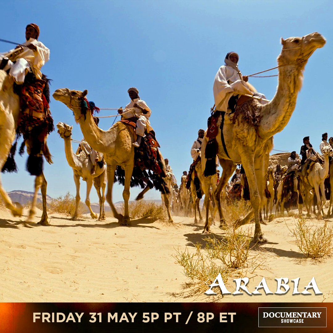 ScientologyTV's tweet photo. Explore an exotic land and discover the majesty and culture of Arabia (all from the comfort of your home!)

Tune in to @DocShowcase on DIRECTV Channel 320 this Friday for the premiere of 'Arabia,' starting at 5p PT / 8p ET!

See more on our site! https://t.co/DgafJdWE5D https://t.co/z1uW7D8QwV