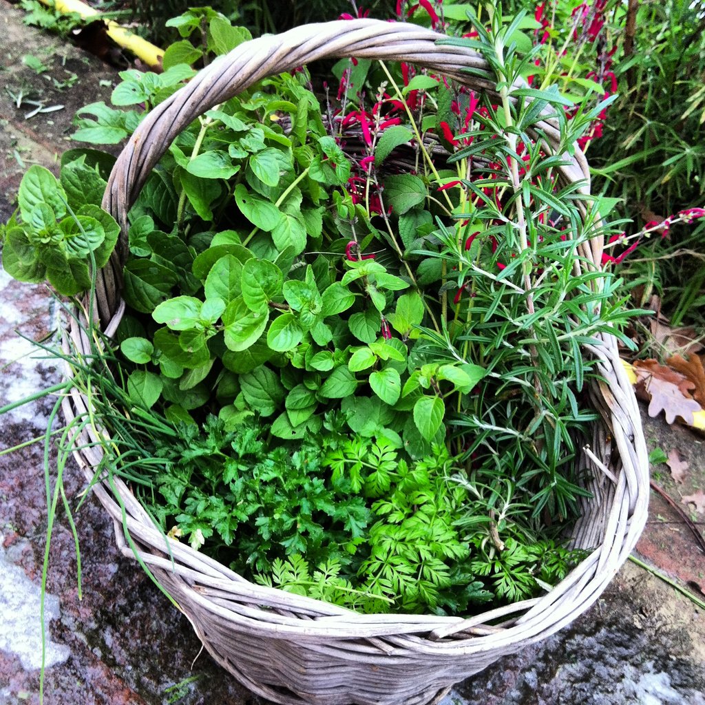 son cambiati i tempi.... è cambiata l'erba😚
.
#locandaliuzzi  #foodporn #yummy #instafood #foodie   #homemade #foodstagram  #foodblogger #instagood  #michelinguide #ristorantecattolica #cucinacreativa #rockincucina #ristorantegourmet #winefood #localfood #vegan #vegetarian