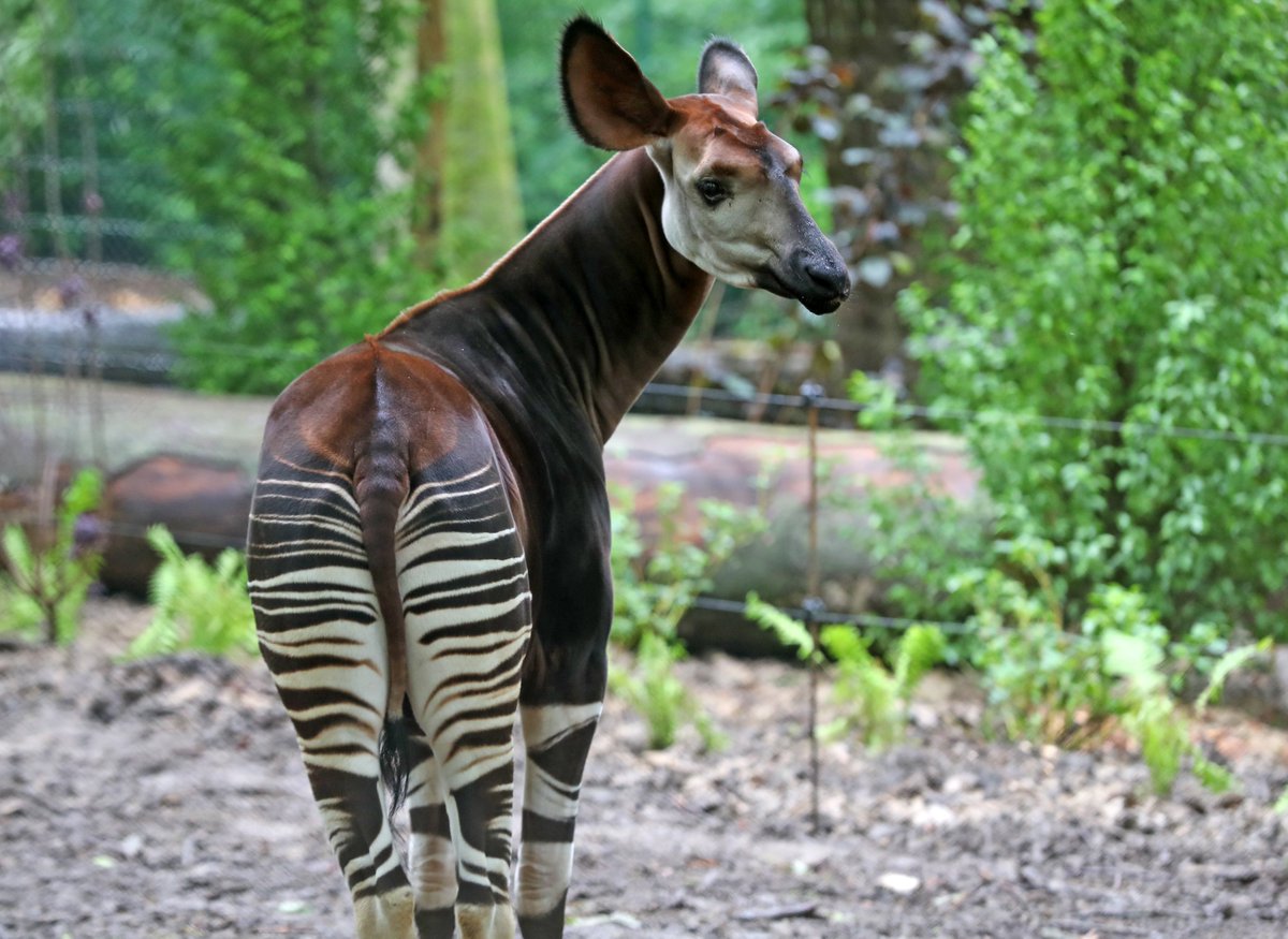 Mulhouse Alsace : Dernières actualités en direct, info en temps réel ...