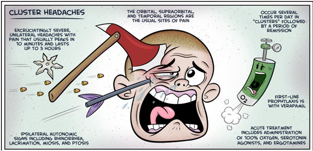 NeurosciScience's tweet photo. Cluster headaches, which occur in cyclical patterns or clusters, are one of the most painful types of headache. A cluster headache commonly awakens you in the middle of the night with intense pain in or around one eye on one side of your head. https://t.co/1D9ioqMy0B