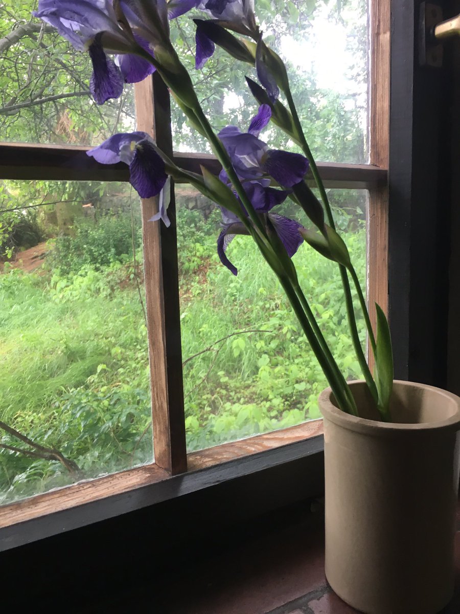 Brigitt01214804's tweet photo. Hallo, Ihr Lieben ! Guten Morgen !Good morning! Günaydın! ... hab verschlafen...,🤦‍♀️🤷‍♀️🏃‍♀️ https://t.co/X4PEqpr1af