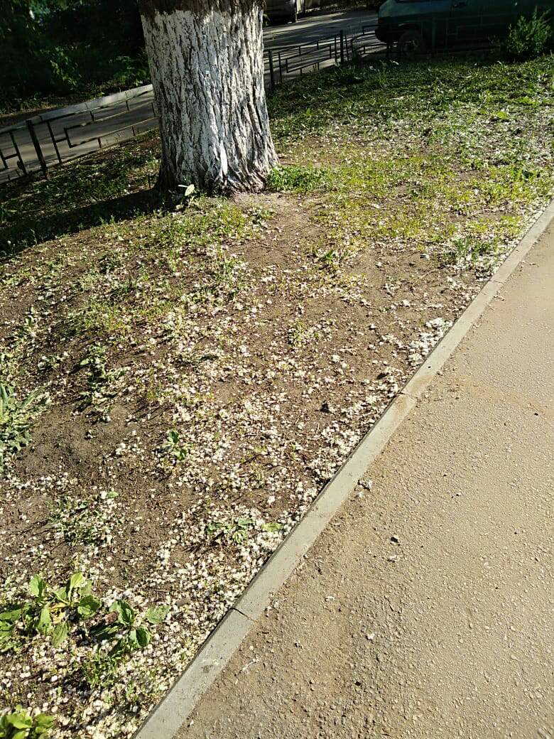 ooo zhks samara tweet media