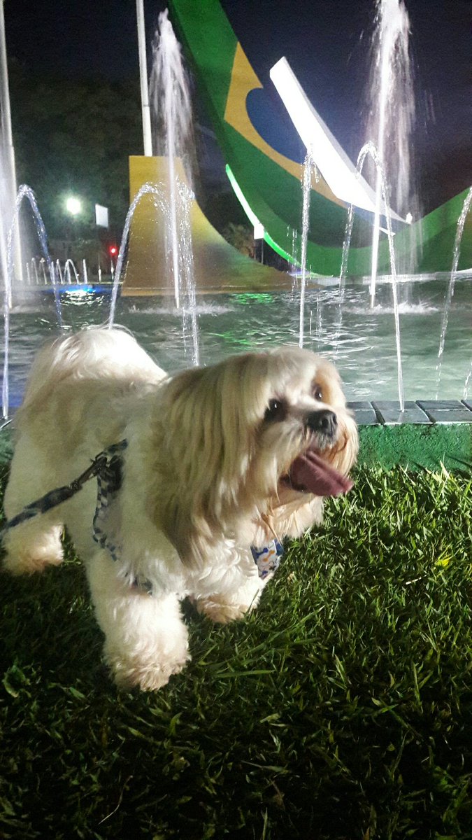 Léozitu tweet media