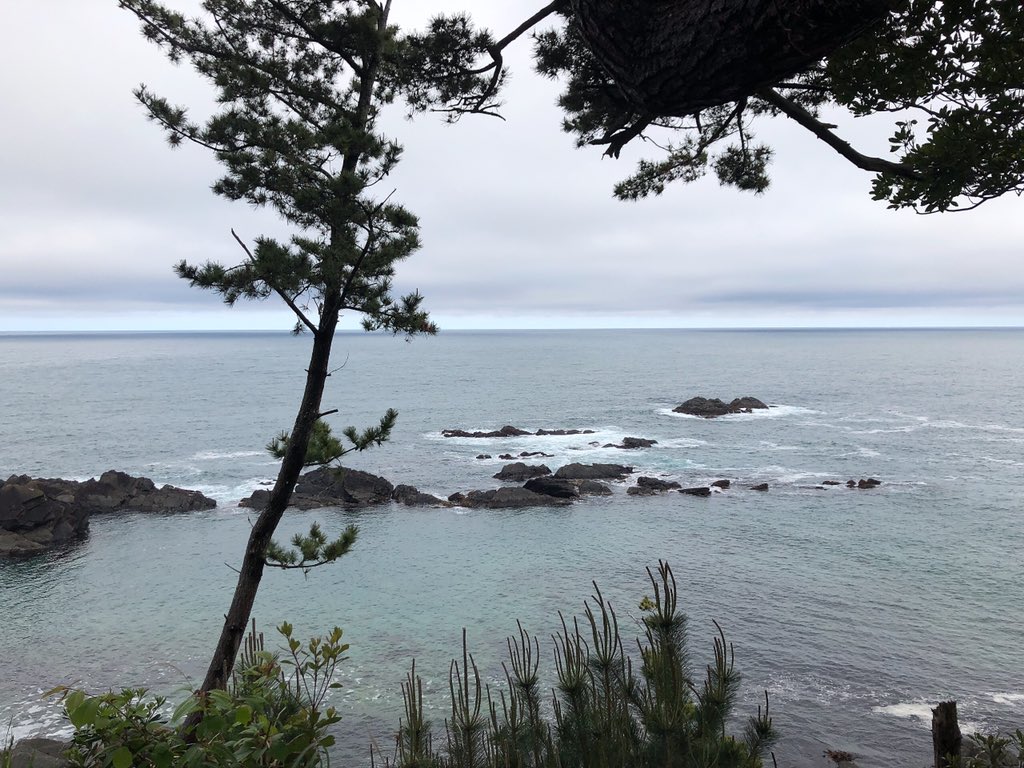 nikocamp6223's tweet photo. 海！！ https://t.co/k2GaG1ZDuN