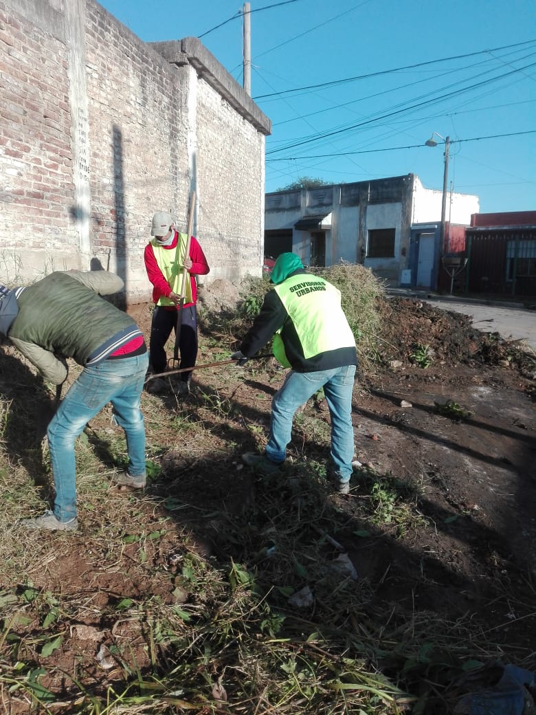 CpcRuta20's tweet photo. ✅ Continuamos  recuperando veredas.  Trabajamos  con bobcat y camión en calle 
Saturnino Laspiur y Rafael Igarzabal de 
 Club Atlético B° Suárez . https://t.co/Z6K5hgo9nD