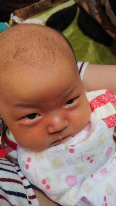 ちえるさん の人気ツイート 3 Whotwi グラフィカルtwitter分析