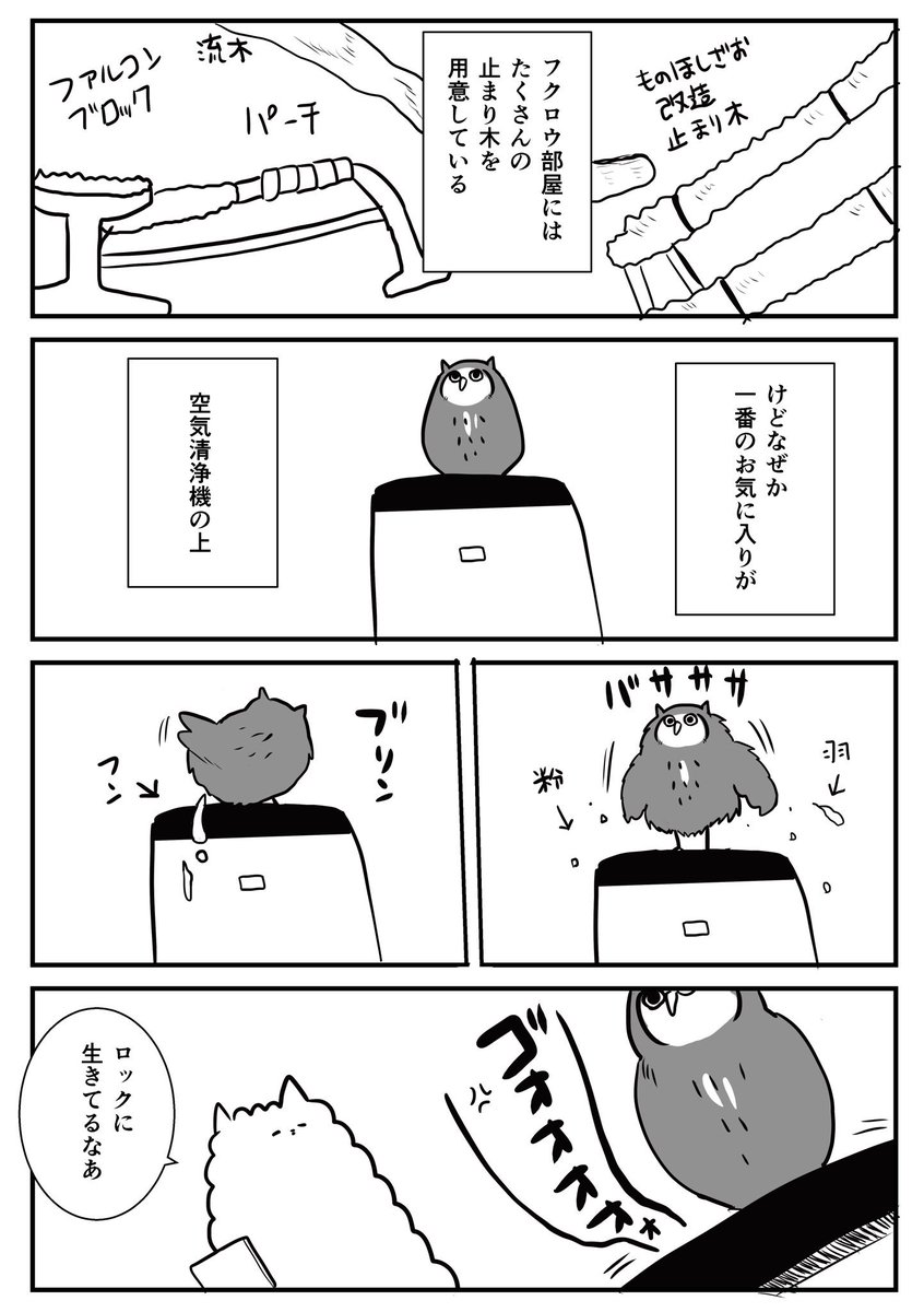 ついでに久しぶりにフクロウとの生活も置いときます 