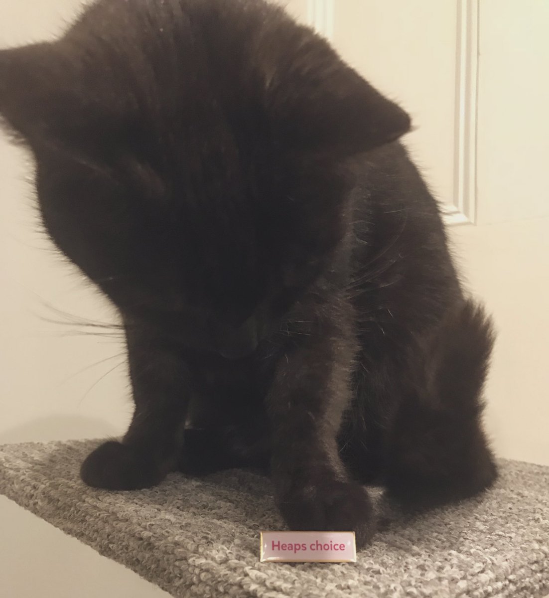 Kendall Flutey tweet media