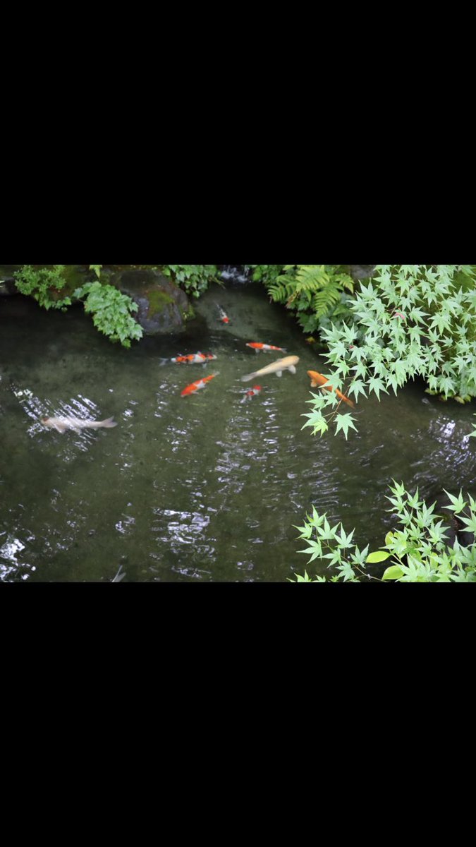 GettingJapan tweet picture