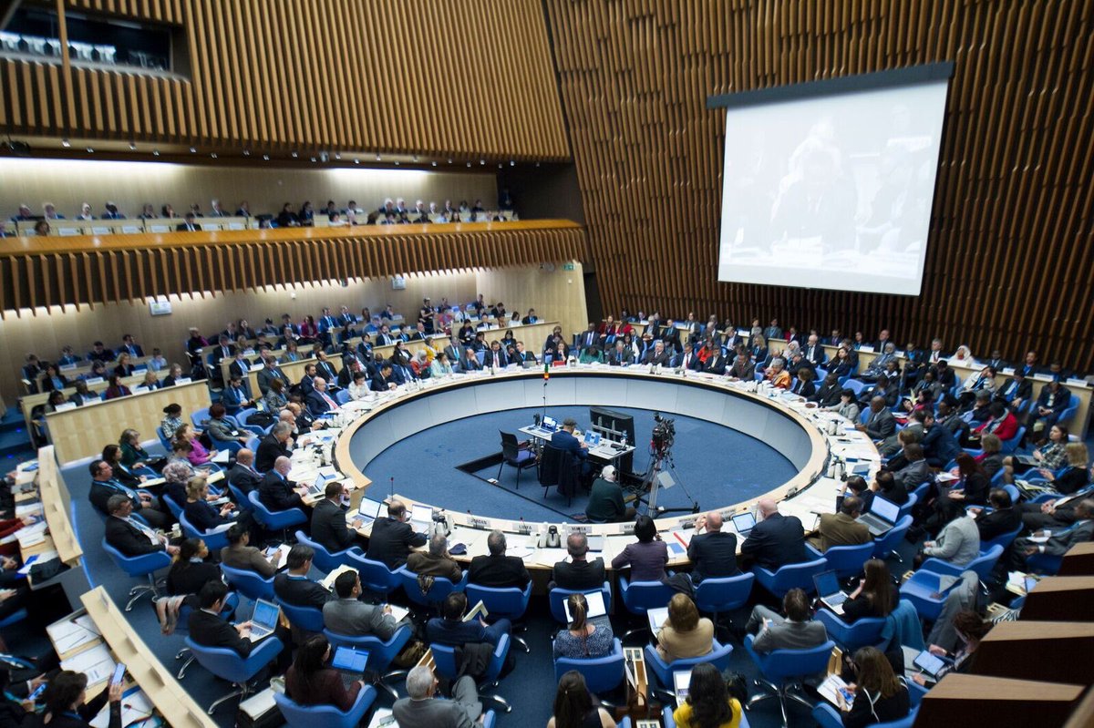 WHO's tweet photo. The 145th Session of the WHO Executive Board has just started.
📺: https://t.co/SWWdQLg8od #EB145 https://t.co/6B2bDZcKyO