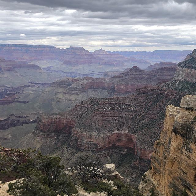 simo_dama's tweet photo. #grandcanyonsouthrim #familytrip2019 #infinity https://t.co/3AVpAGZuyD https://t.co/3oUg6d6g5d