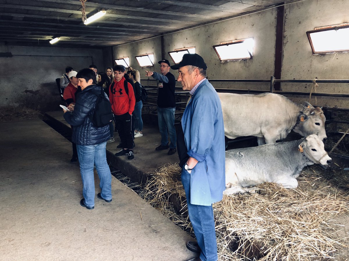 Interbev_Oc's tweet image. #madeinviande #laviande #interbev Les jeunes du CFA de Foix à la découverte de la filiere du boeuf gascon Label Rouge au Mas d Azil chez  la famille Respaud habituée des concours