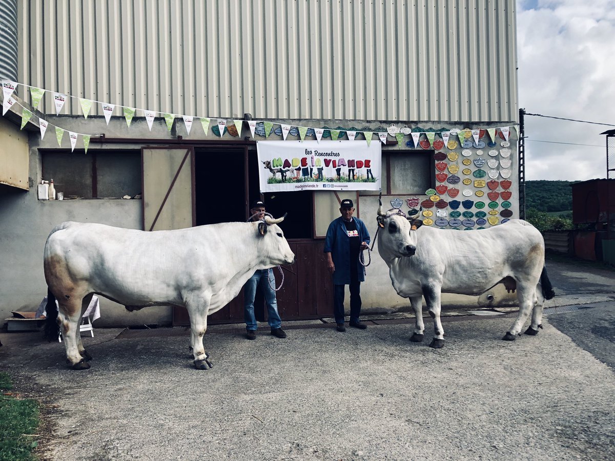 Interbev_Oc's tweet image. #MADEinVIANDE #interbev #laviande Présentation des animaux gascons : les jeunes sont séduits. Ca se passe chez la famille Respaud au Mas d Azil!