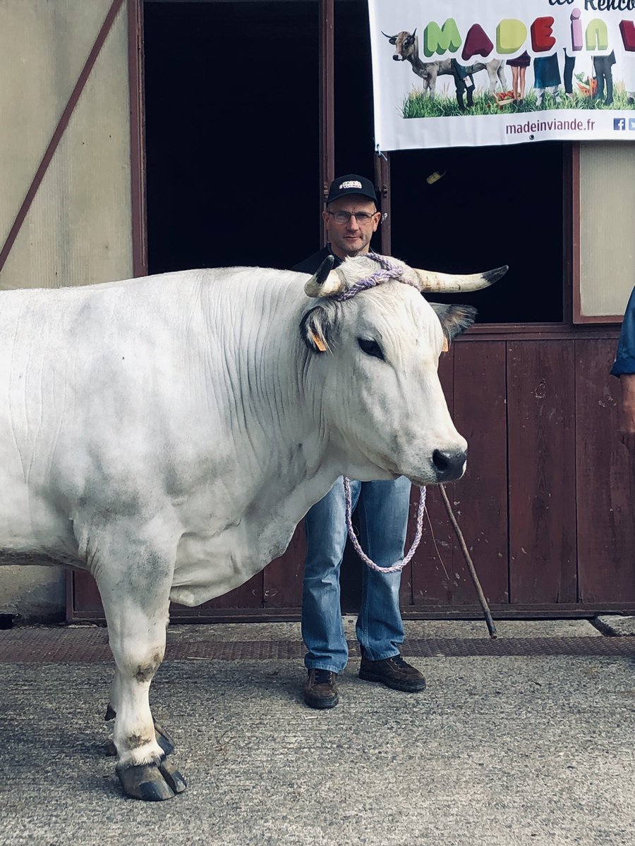 Interbev_Oc's tweet image. #MADEinVIANDE #interbev #laviande Présentation des animaux gascons : les jeunes sont séduits. Ca se passe chez la famille Respaud au Mas d Azil!