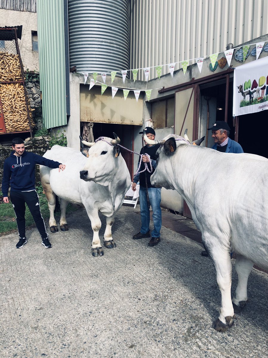 Interbev_Oc's tweet image. #MADEinVIANDE #interbev #laviande Présentation des animaux gascons : les jeunes sont séduits. Ca se passe chez la famille Respaud au Mas d Azil!