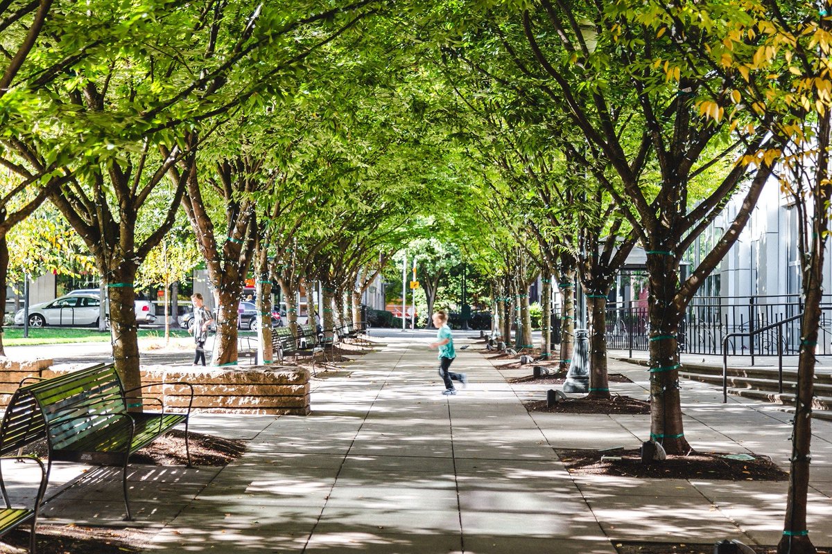 TheGoodHub's tweet image. "The fates of place, people, and economies are deeply intertwined is a truth as old as time." Amazing article about why examining these intersections and building spaces around them is important!
buff.ly/2FvDKMi