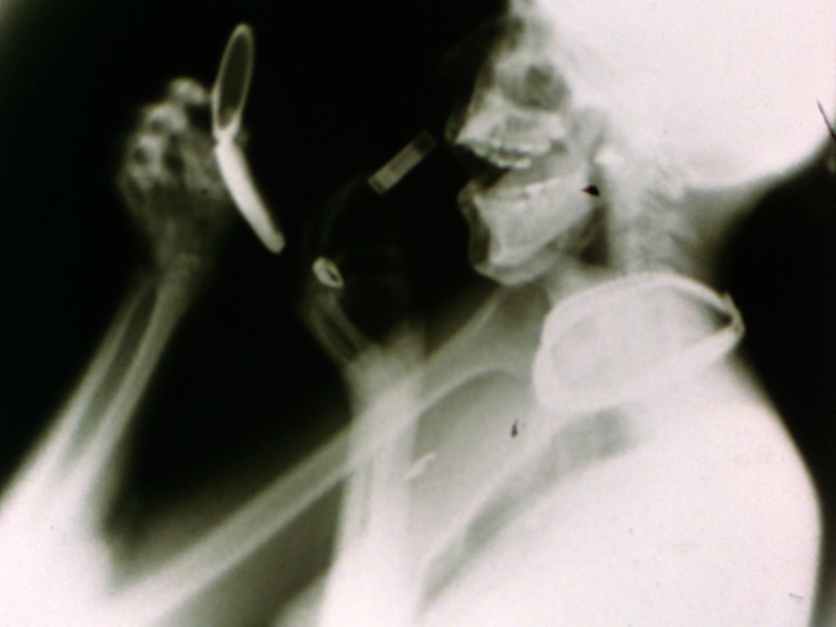 #WomenIlove #BarbaraHammer #Sanctus is een visueel gedicht dat gebaseerd is op wetenschappelijke röntgenbeelden van James Sibley Watson, arts en experimenteel filmmaker. 01.06 bit.ly/womenIlove