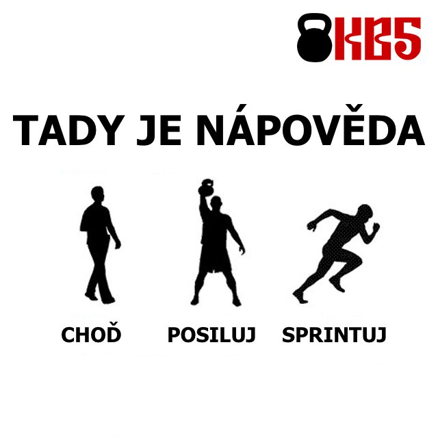 kb5cz's tweet photo. #marksisson #primalblueprint #kb5 #strongfirst #strongfirstcz #strongfirstgym #fitness #posilovna #zdravyzivotnistyl #cviceni #trenink #sila #kondice #motivace #cvicimczsk #crossfit #kettlebell #barbell #dumbbell #posilovani #spartanrace #chuze #chůze #posilování #sprint https://t.co/l8QAbePl7f