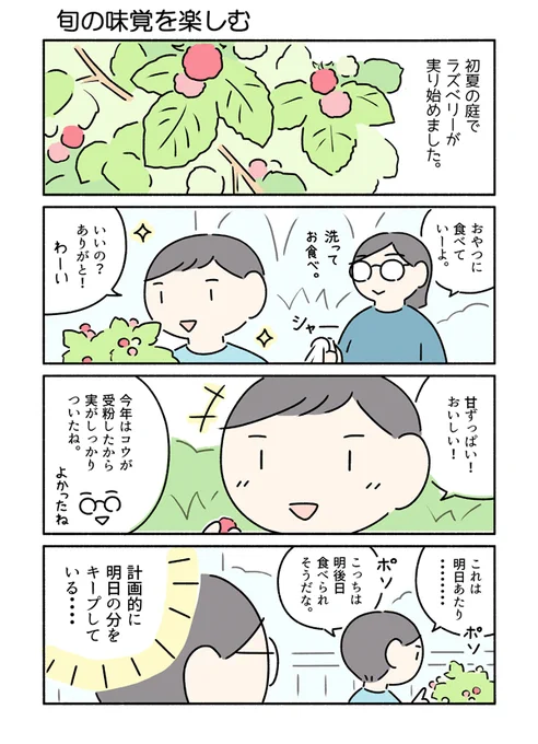 ラズベリーが実ったよ、という話です。コウは「これでパイを作ったらリアルラズベリーパイだね!」と喜んでいました。 