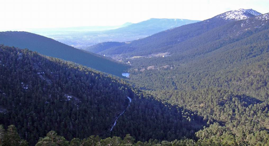 valle_ls's tweet photo. Nuevo twitter para descubrir más acerca de los tesoros del Valle de la Fuenfría #primertweet #followus #pimpamfuenfría https://t.co/2Ezri2FSgL