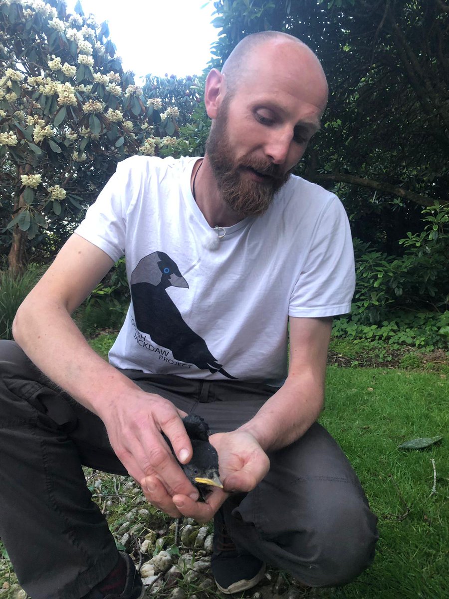 Victoria Lee (@vlee37) on Twitter photo Expert jackdaw whisperer <a href="/GuillMcIvor/">Guillam E. McIvor</a> on #Springwatch last night, talking to @gillians_voice about the soap opera that is jackdaw social life! Expert jackdaw whisperer <a href="/GuillMcIvor/">Guillam E. McIvor</a> on #Springwatch last night, talking to @gillians_voice about the soap opera that is jackdaw social life!