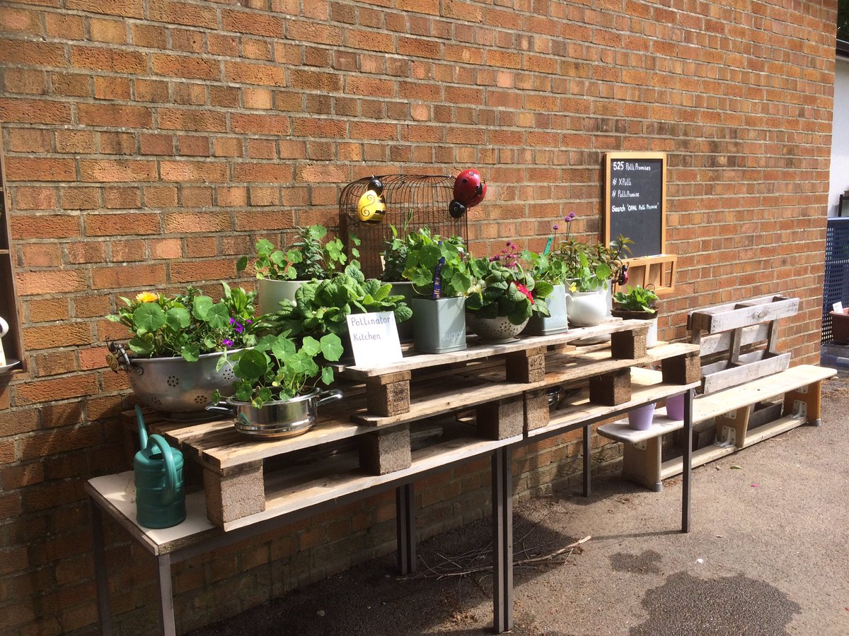Made a visit to one of our schools on Friday - great to see St Albans Primary School, Havant building on their @HeritageFundSE funded <a href="/LtL_Pollination/">Polli:Nation</a> &amp; <a href="/NGeografic/">NationalGeografic</a> funded #xPolli projects.
