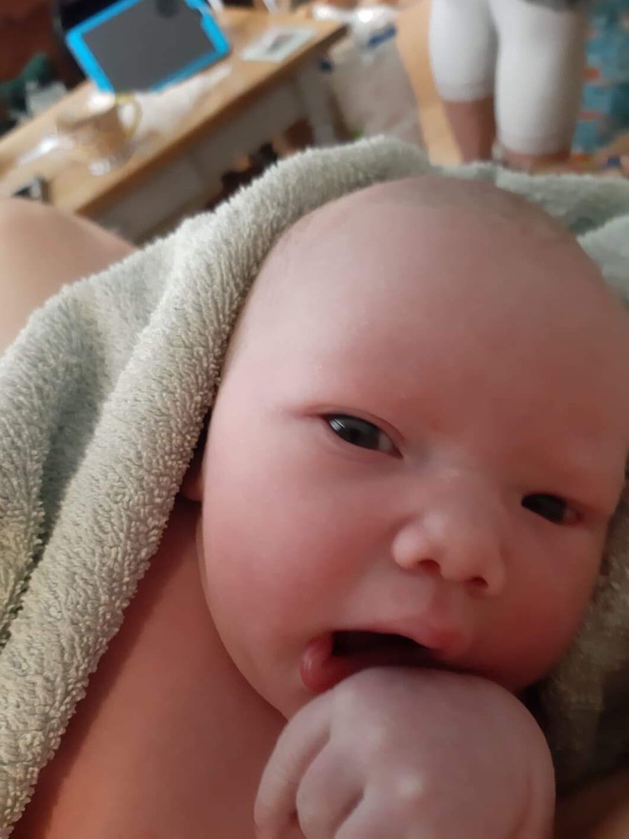 James Hargrave tweet media