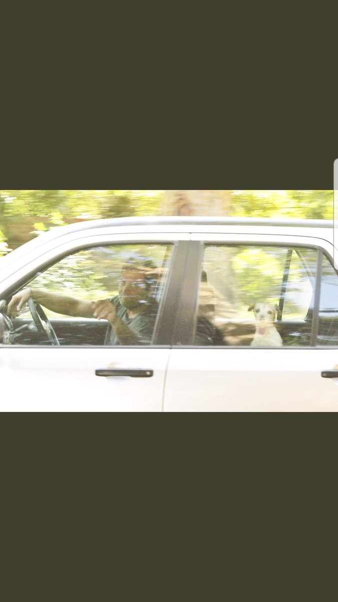 IamGMishra's tweet image. #Congress #congressleaders 
#pidy #RahulStopTheTantrum 
@RahulGandhi dont have time for his #leaders nor #amethi but his #pet pudi rocking!