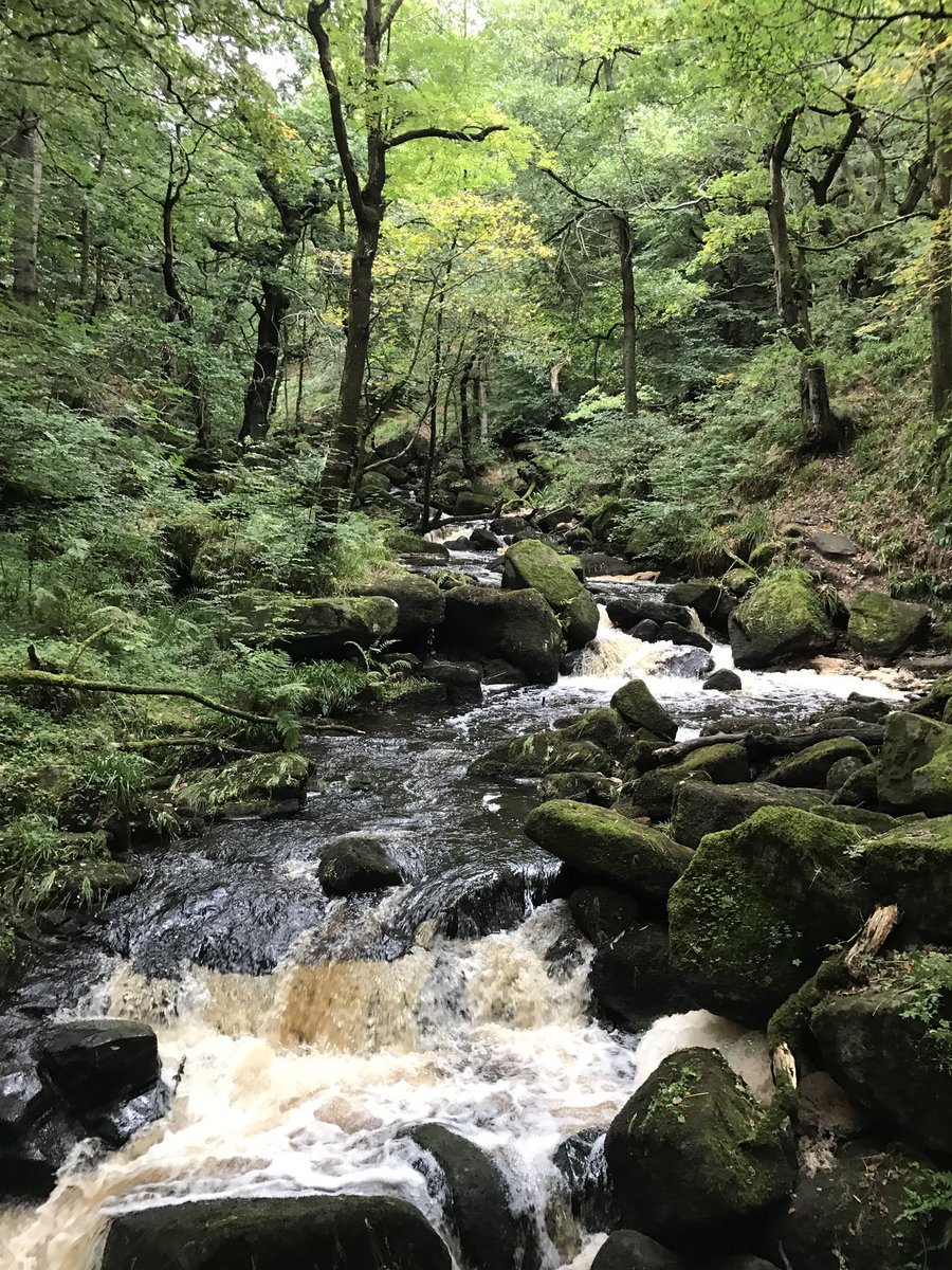 cbituk's tweet photo. Looking for your next big running or walking challenge? Join us for @PeakDChallenge..

Choose your challenge, choose your team &amp; take to the hills!
Back Before Dark-10km
Copper-25km
Bronze -50km
Silver-75km
Gold Ultra-100km

Email laurabatey@cbituk.org for info! @CBITNorth_Laura https://t.co/9YK0oQTsdh