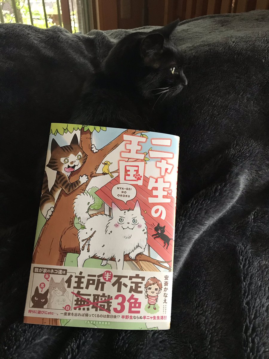 お分かりいただけただろうか。
明日30日発売の単行本の後ろに猫がいる事を。
(呪いのビデオ風に読んでください) 