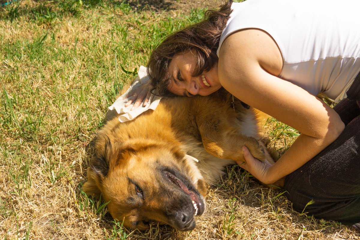 CleapetUK's tweet photo. What do you do to protect your pet from harmful bacteria? Cleapet helps you get rid of them and make your pet’s fur and skin healthy. It contains naturally anti-bacterial nano-colloidal silver. #CleapetWetTowels #NanoColloidalSilver https://t.co/xIbFxoQFfC