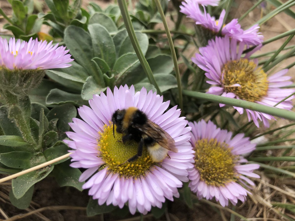 NutterAlexandra's tweet photo. Digital learning and nature my 2 favourites. Enjoying filming with level 3 countryside students. #countrysidesurveys https://t.co/bAraXYJ8Me