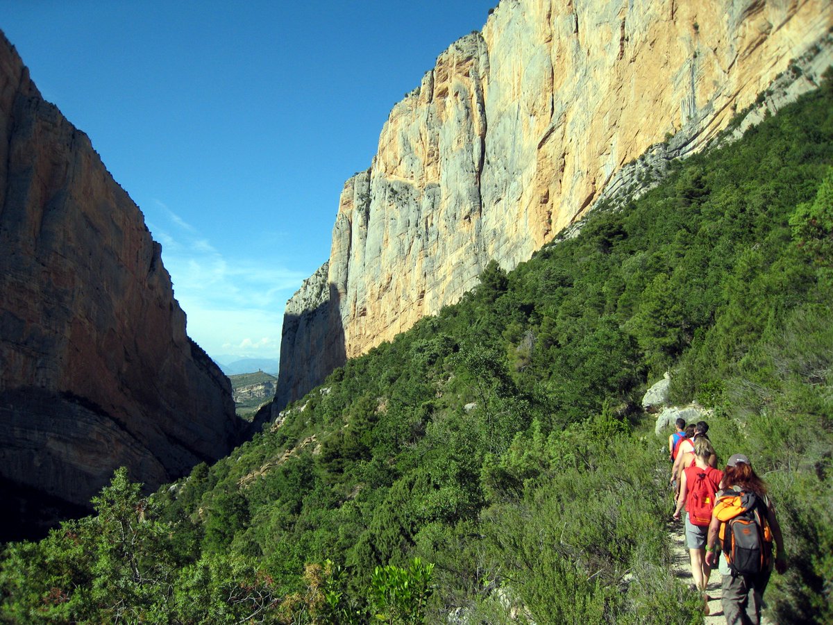 TuiLleida's tweet photo. #Rutes de cap de setmana per gaudir del #CongostdeMontrebei  @catexperience @spain @serradelmontsec #aventura #senderisme 

>> Article sencer a: https://t.co/wzgElYshwi https://t.co/TqqZZoUkXn