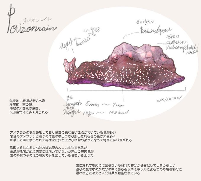 アメフラシのtwitterイラスト検索結果