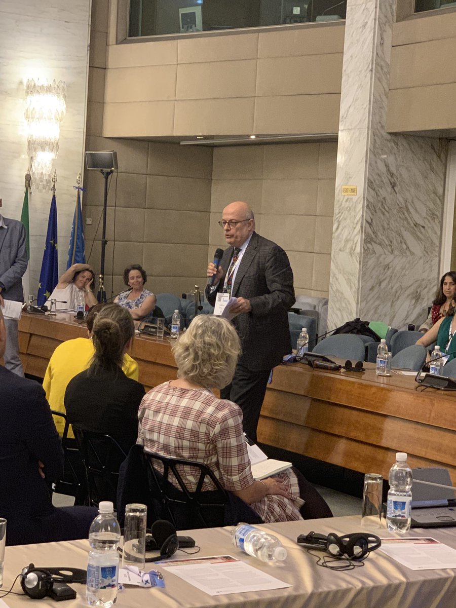 Useful Policy Tool: <a href="/Int_IDEA/">International IDEA</a>’s Global State of Democracy #GSoD indices help countries assess their implementation of #sdg16 and can guide policy-making. Pictured here is Permanent Observer to the UN, Massimo Tommasoli explaining the tool. Know more: idea.int
