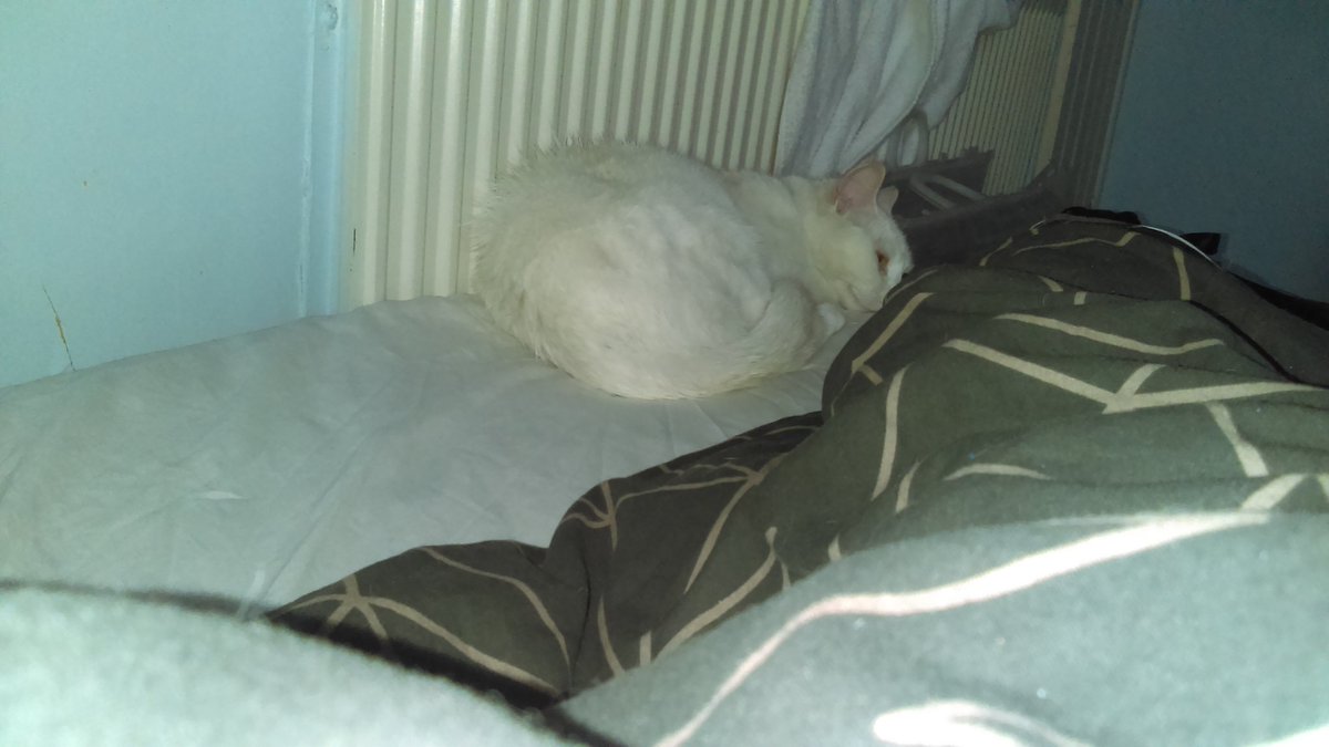 She's just

Chilling
Contemplating life