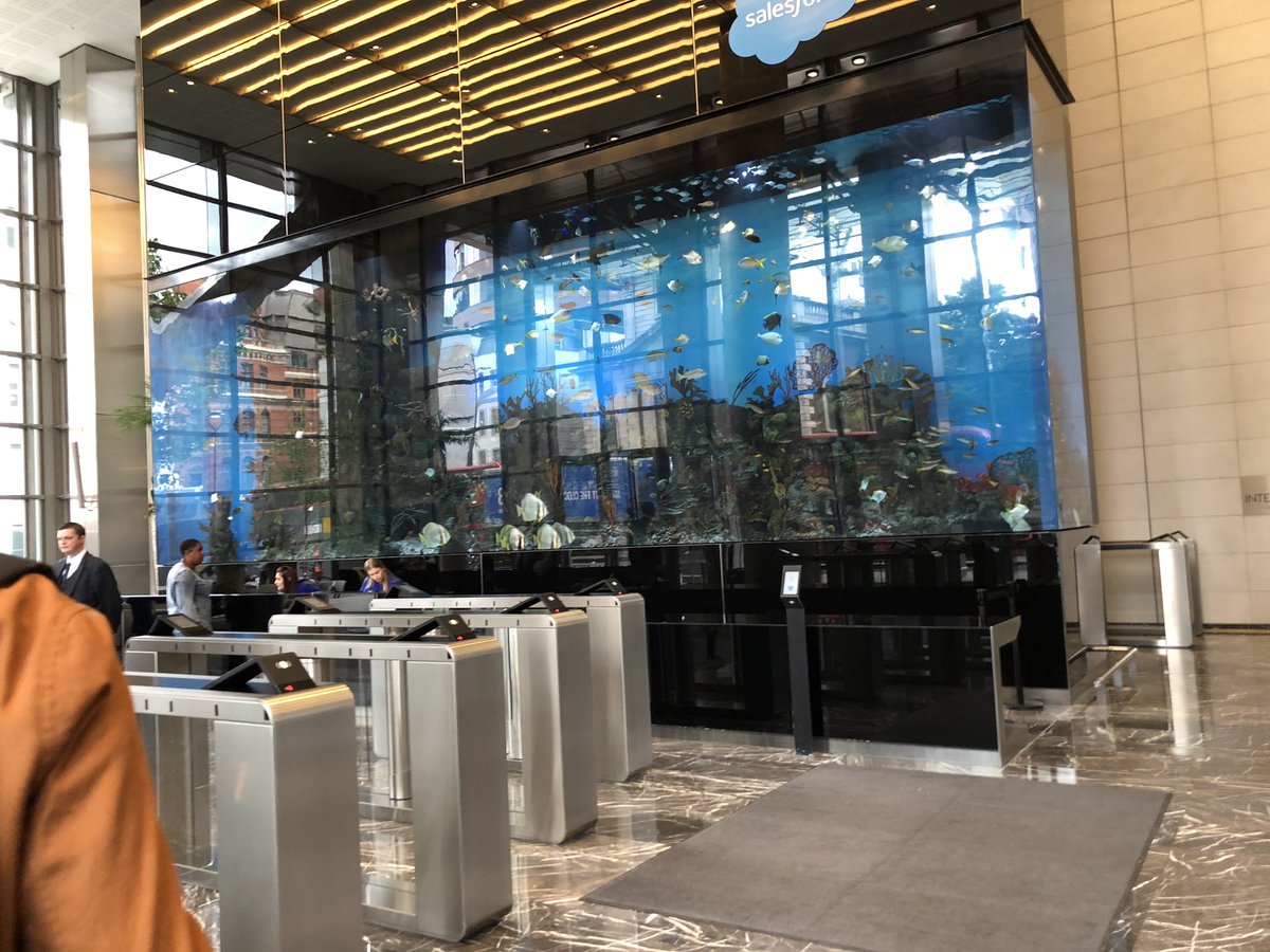 Watch this space for our latest customer case study. Filming took place yesterday with <a href="/PRSJOBS/">PRSJOBS</a> #office365 #azure #cloud