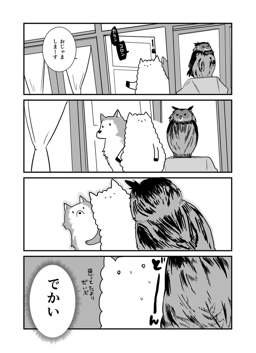 唐突な告知なんですがフクロウの本が出ます。
フクロウ飼育本ではなく、フクロウを飼うかどうかを一冊まるまるひたすら悩む本が出ます。リンク先で1話が読めるので、よかったらぜひ。  