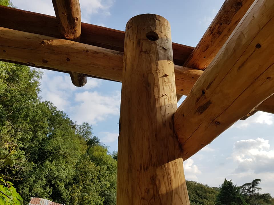 ResilientWood's tweet photo. Our new roundwood frame wood processing barn, made using local sustainable timber &amp; traditional skills, slowly taking shape.  Its def going to have stunning views from wonderful remote woodland setting.  Who do we know who might do a #bigcookoff to open in Sept/Oct? @samandshauna https://t.co/kNeWsdfPn3