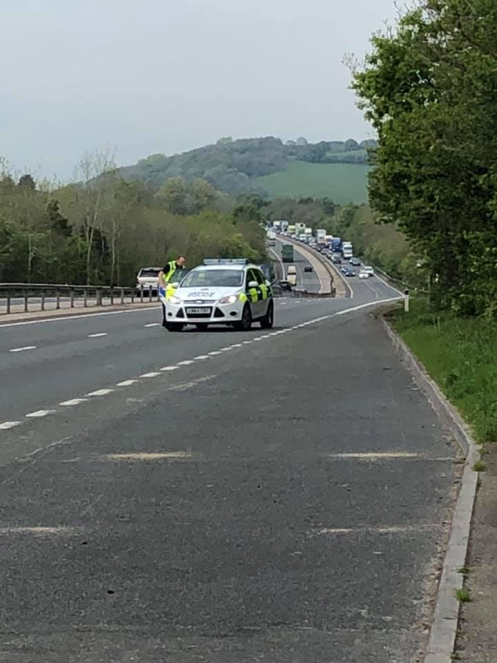 EquineRescueServices tweet media